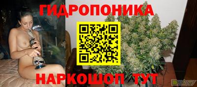 молекула духа Новодвинск
