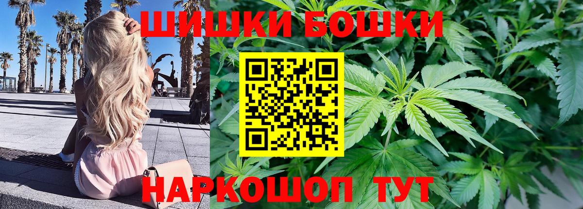 Канабис конопля Тосно